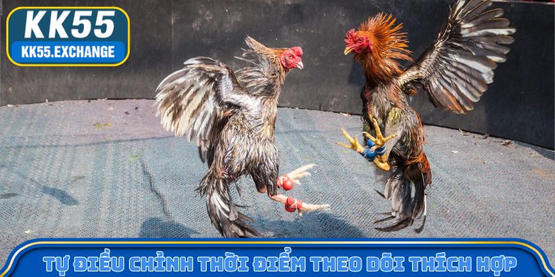 Tự điều chỉnh thời điểm theo dõi thích hợp